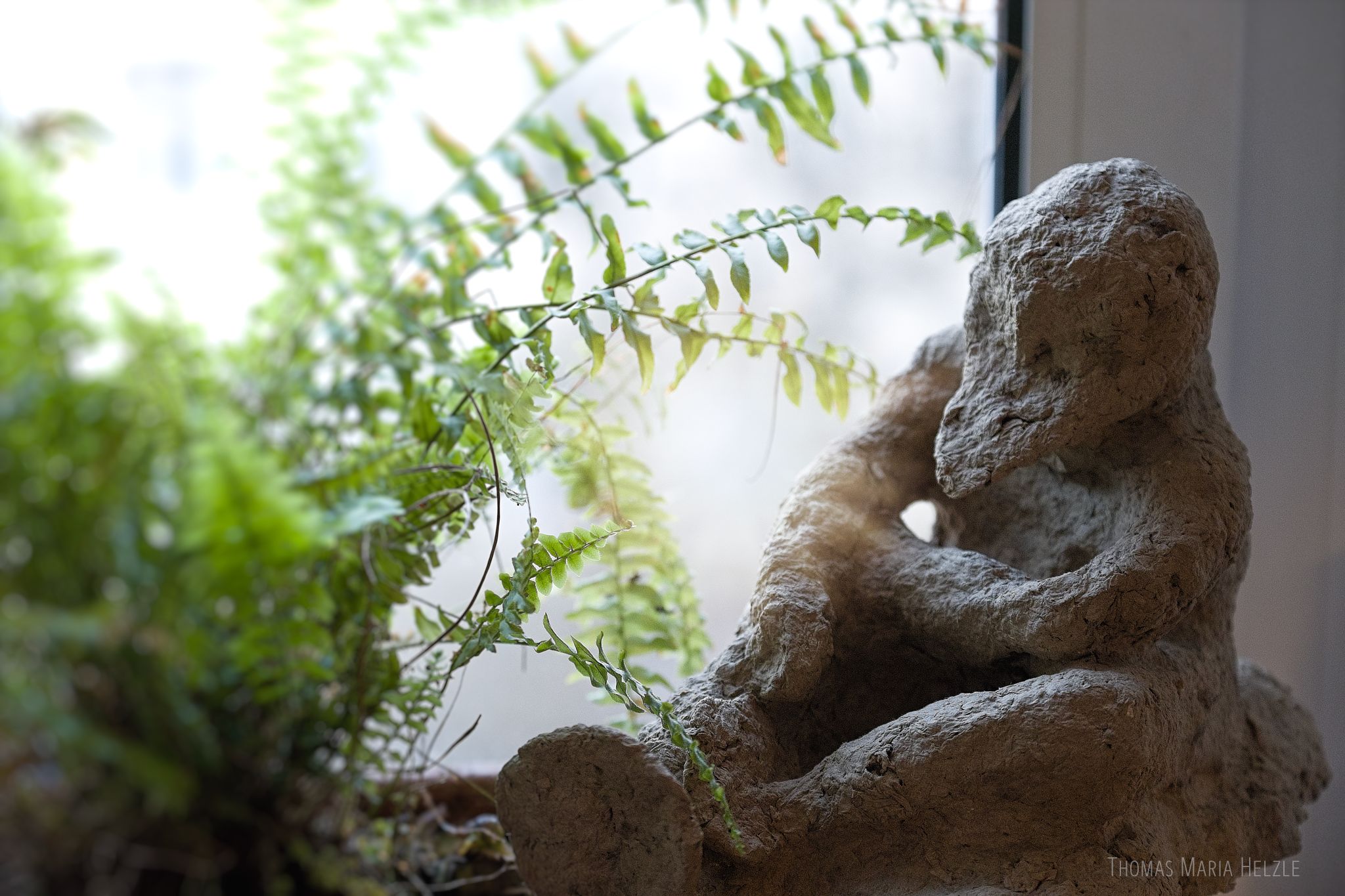 'The Duckman', a sculpture made of papier-mâché with a duck bill and big feet, sitting at my window next to a fern plant and looking thoughtfully...;-)