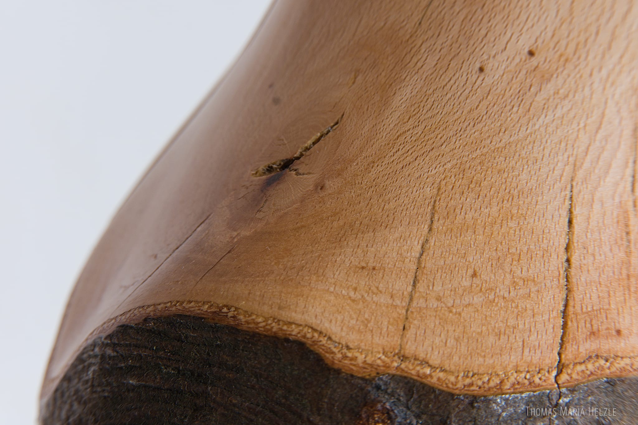 Close up view of a cracked knot on the shoulder of the Torso with a bright white wall behind, reflecting on the shiny surface.