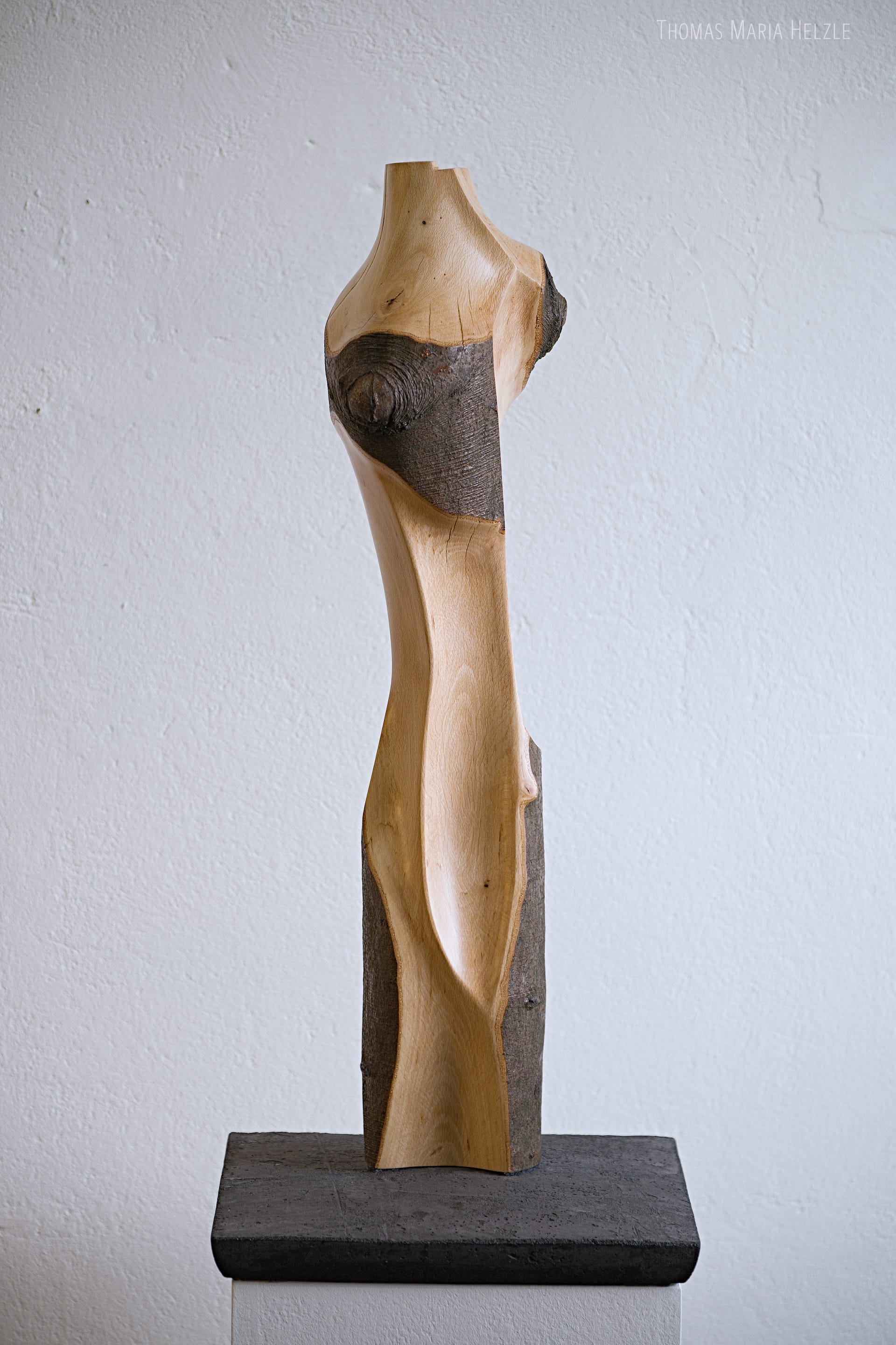 Frontal view of the Torso sculpture, showing areas with the bark still in place and organic flowing carved forms otherwise, contrasted by sharp edges and the outlines of the bark. The texture of the beech wood is beautifully visible and the surface finish is semi-glossy with hard oil.