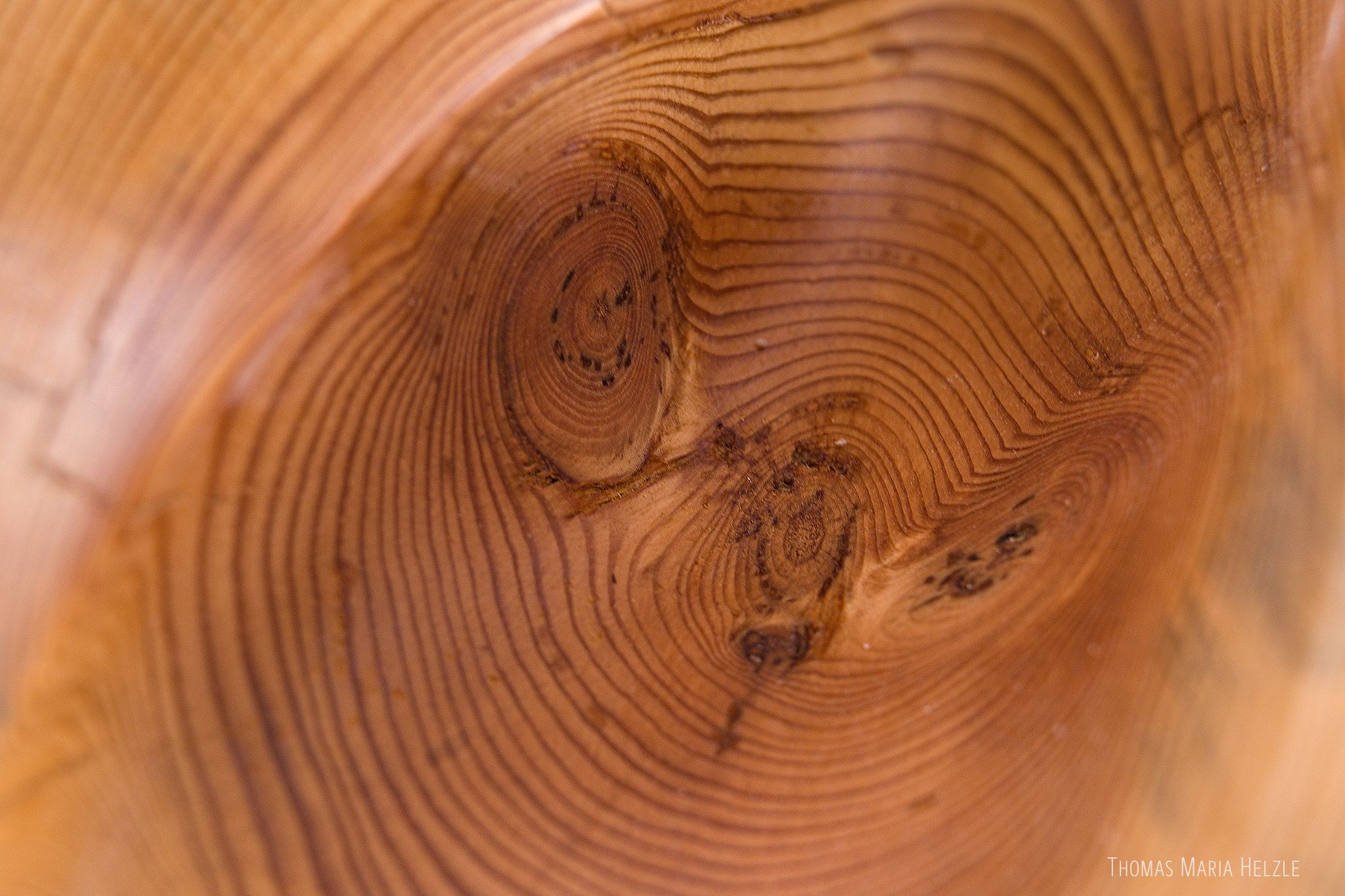 Macro of three wood knots inside the Transitions sculpture, showing strong wood grain and year-rings flowing with the organic shape of the carving.