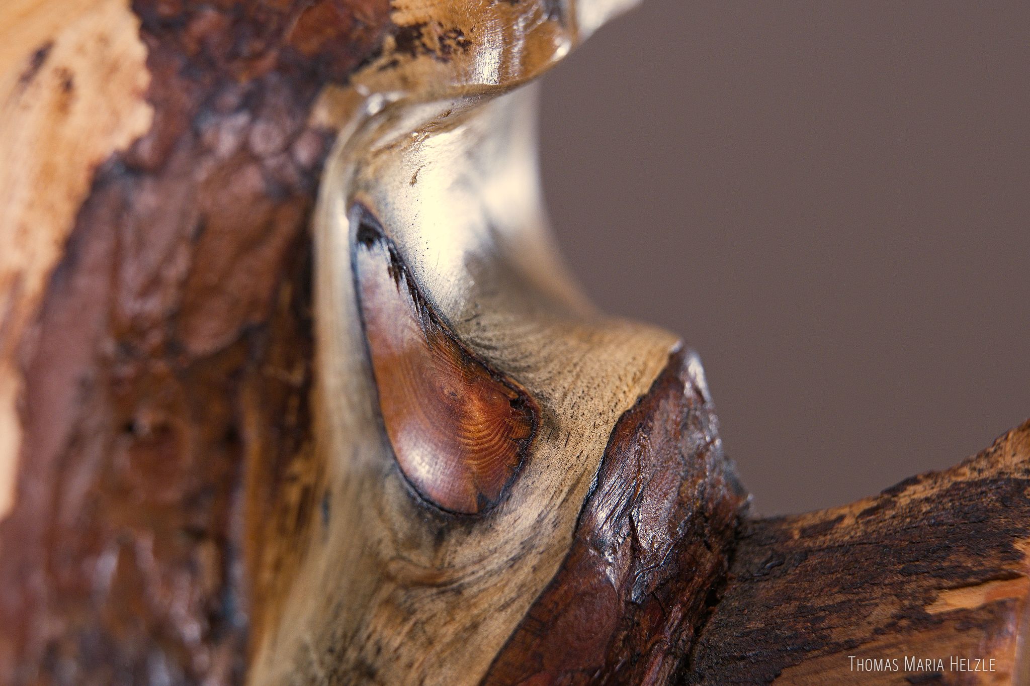 Close up view on a knot in the Transitions sculpture in a smoothly carved channel, surrounded by bark.