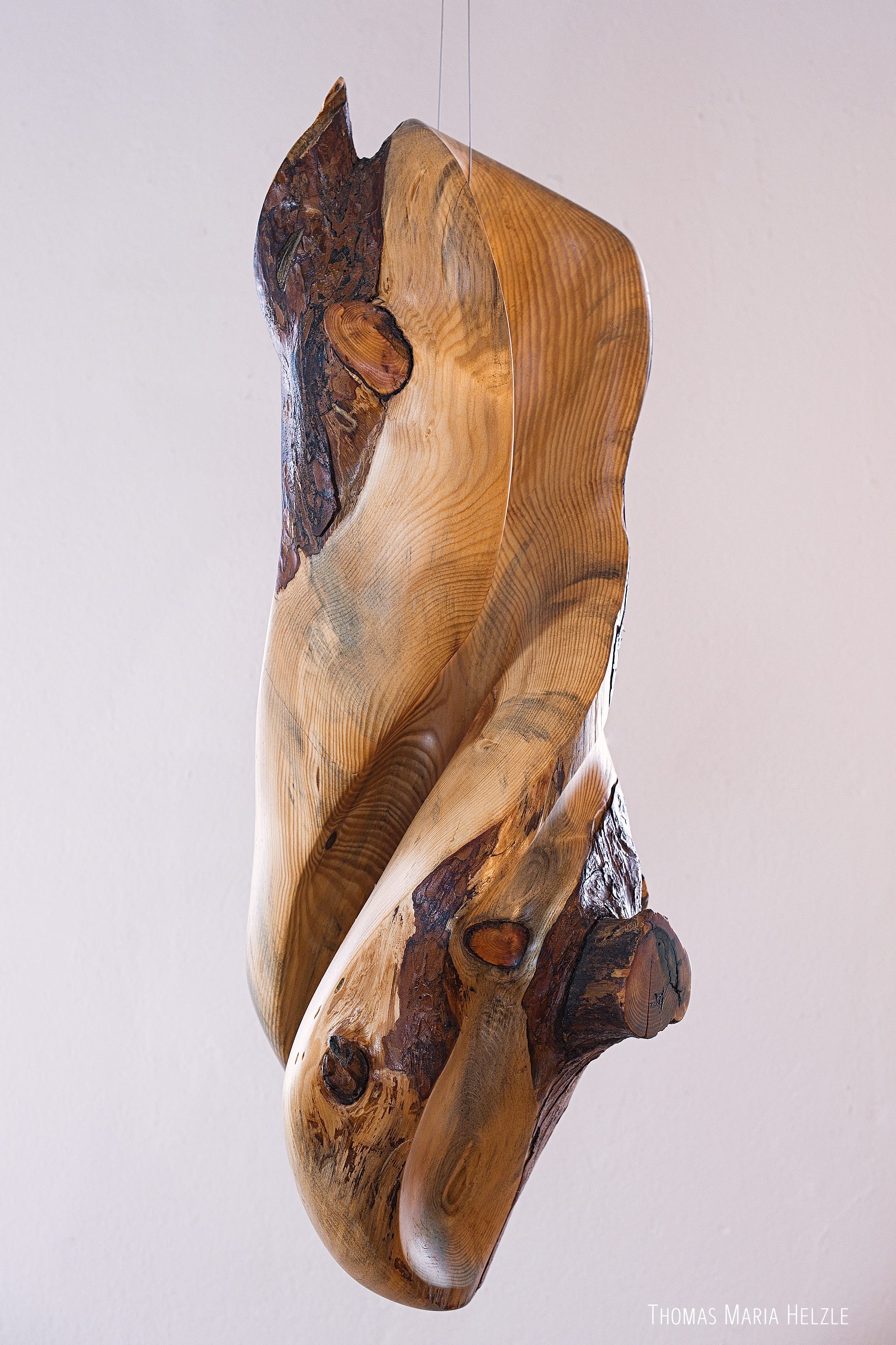 Full view of the Transitions sculpture, hanging from the ceiling. Pine wood with partially remaining bark in front of at white wall. This gallery shows different angles of the very smooth and organic, flowing forms.
